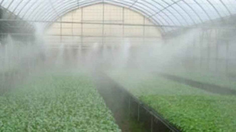 greenhouse misting system
