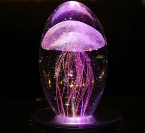 Jellyfish lamps