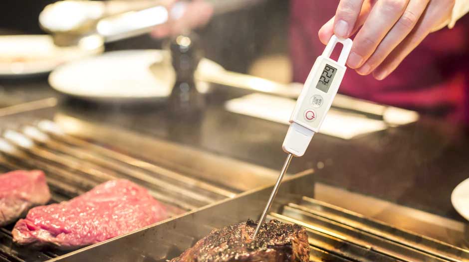 Meat thermometer