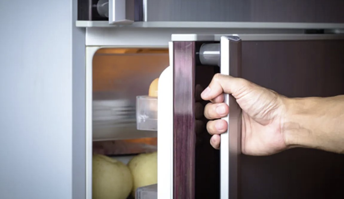 refrigerator door seal